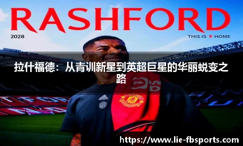 FB体育官网